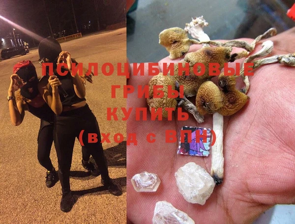 скорость Алзамай