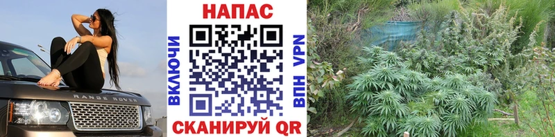 МАРИХУАНА VHQ Алзамай